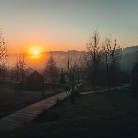 Mu_moradas No Ulla * Teo